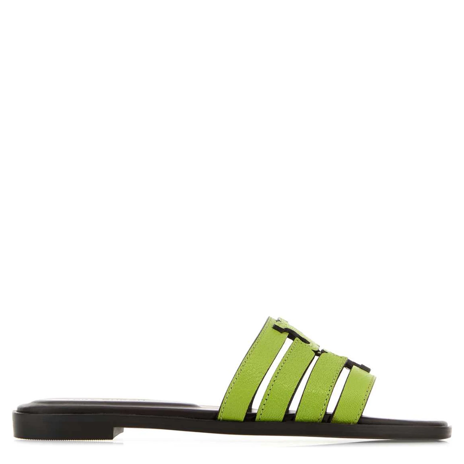 INES CAGE SLIDE