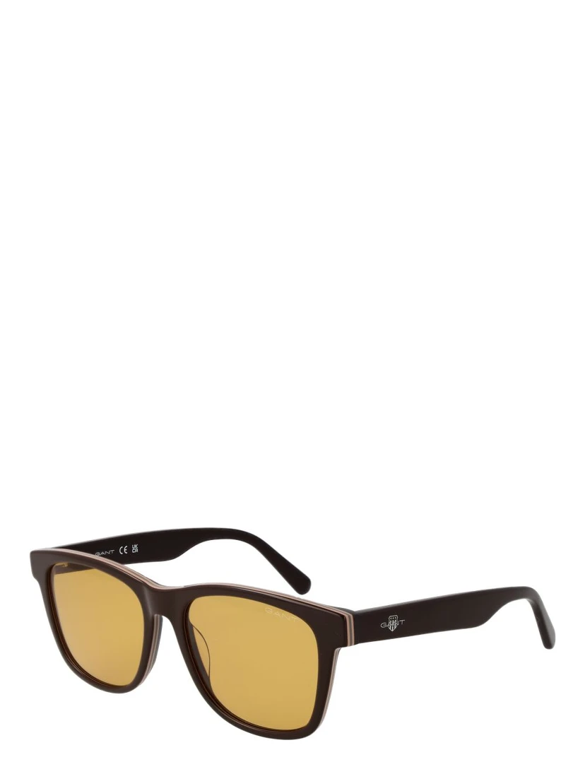 Brown Acetate Sunglasses