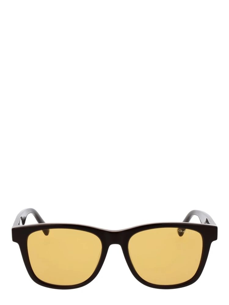 Brown Acetate Sunglasses alternative
