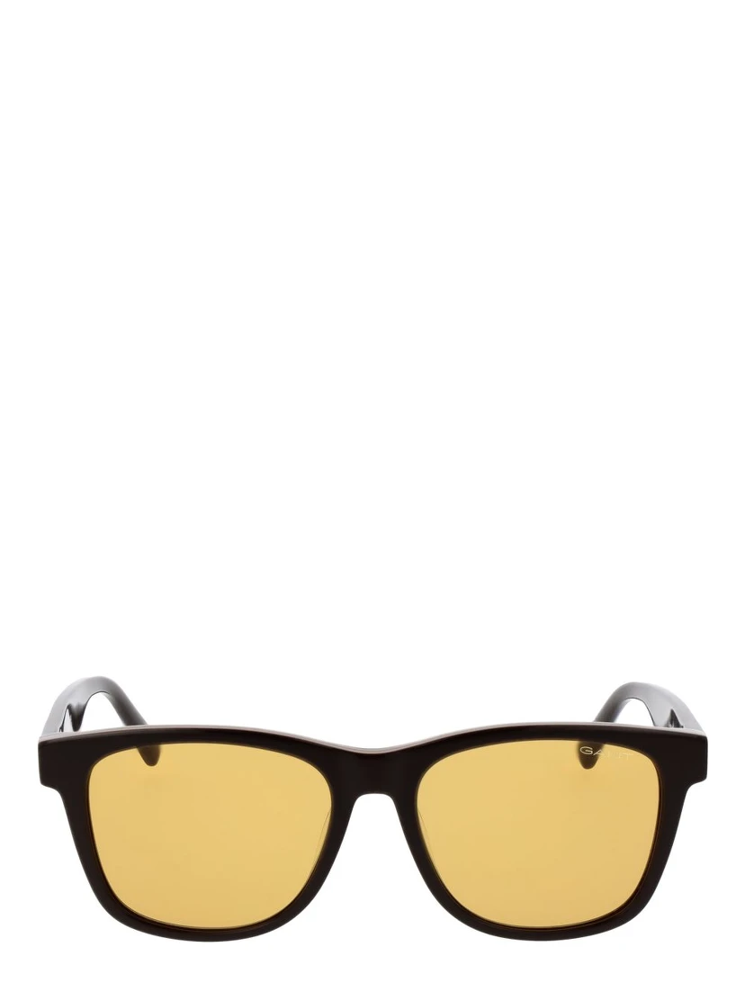 Brown Acetate Sunglasses