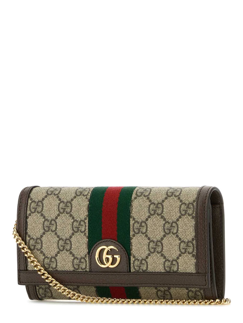 "Ophidia" wallet on chain