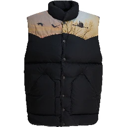 "Needles x Rocky Mountain Featherbed" Sleeveless jacket