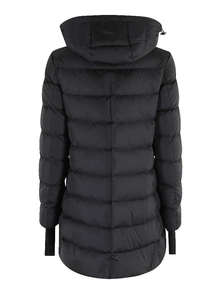 PI0660D 12004Z|097 alternative