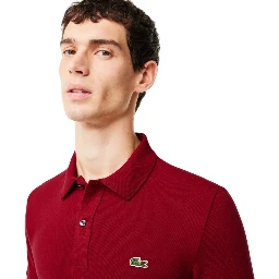 Lacoste T-shirts and Polos Bordeaux