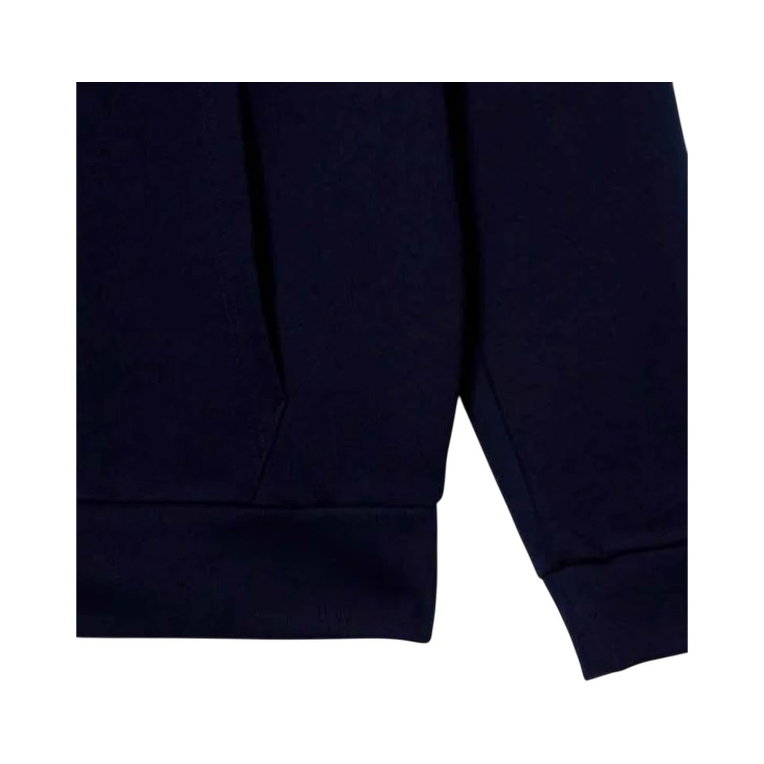 Lacoste Sweaters Blue