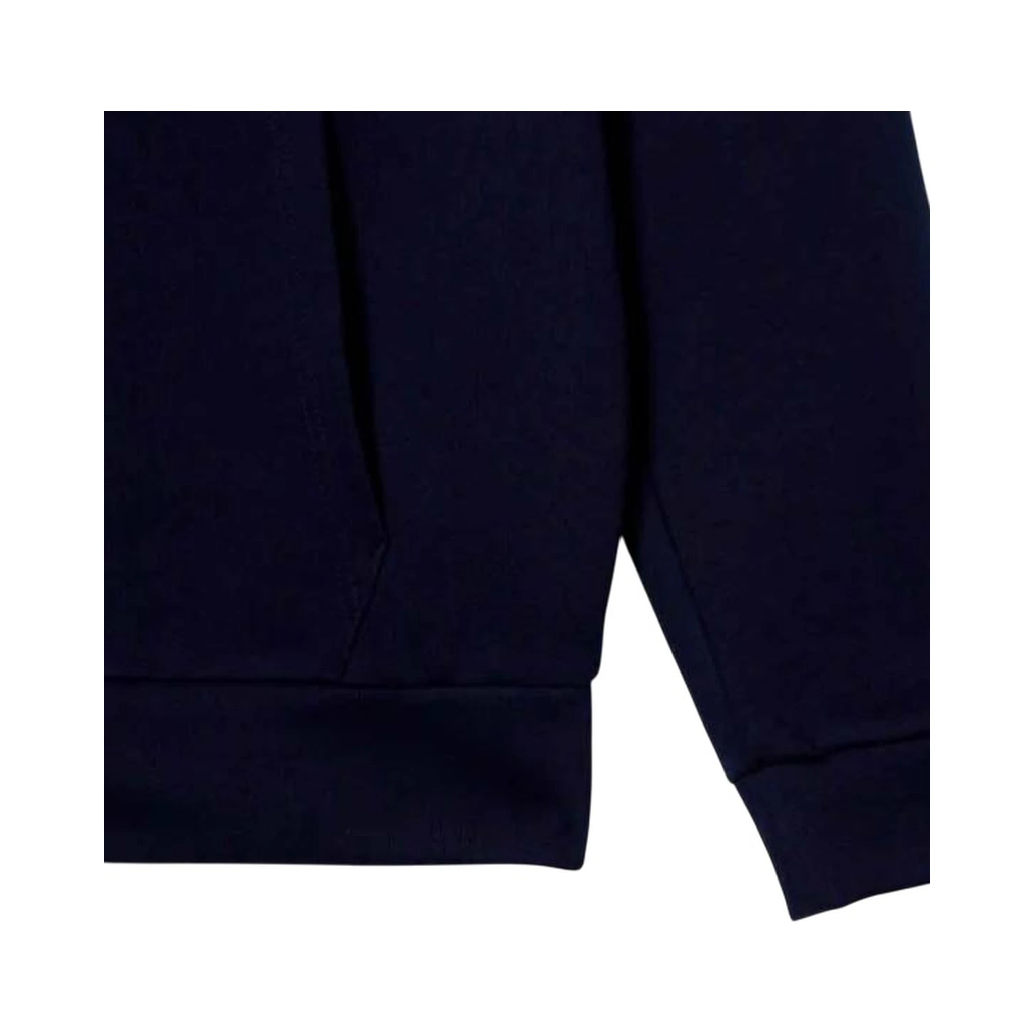 Lacoste Sweaters Blue