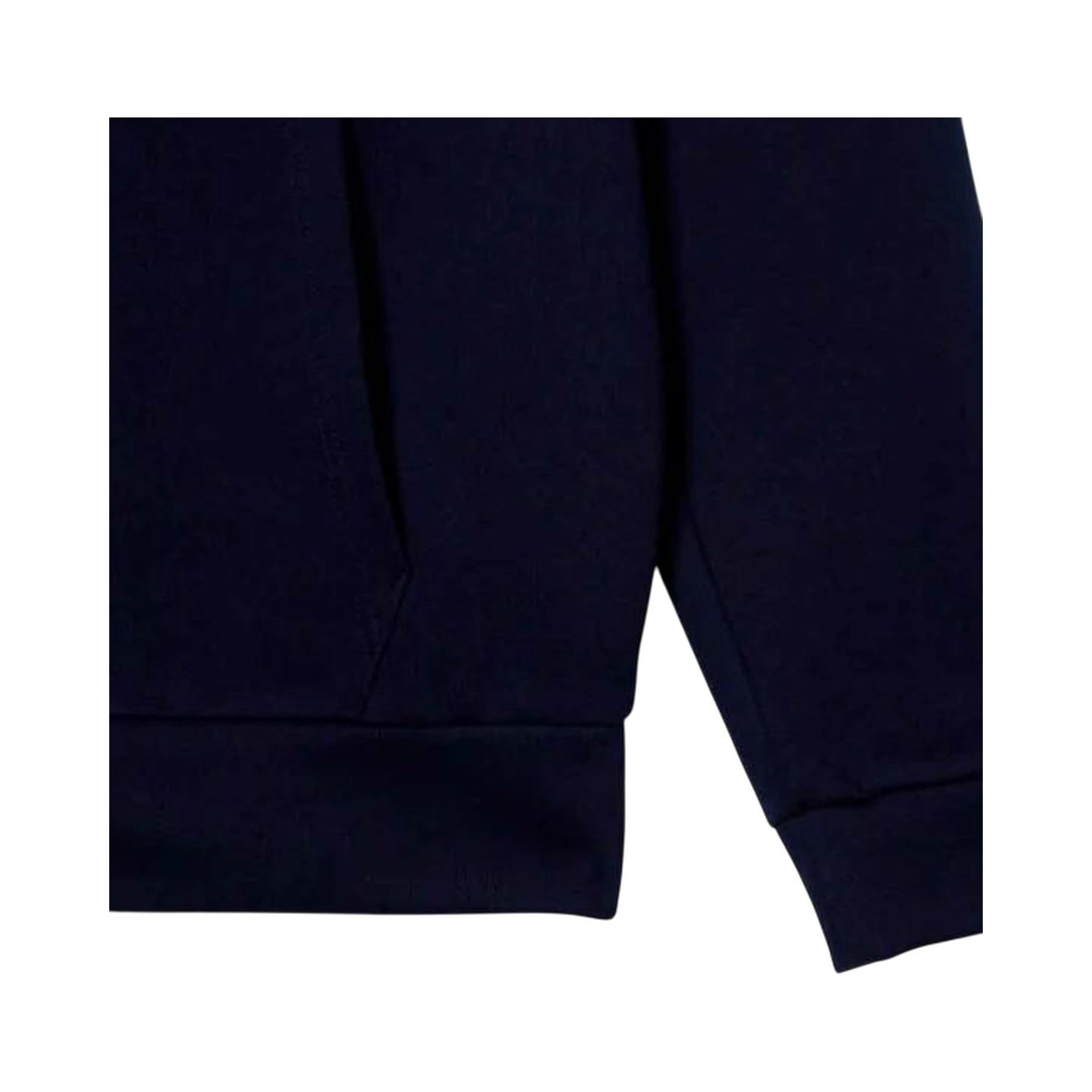 Lacoste Sweaters Blue