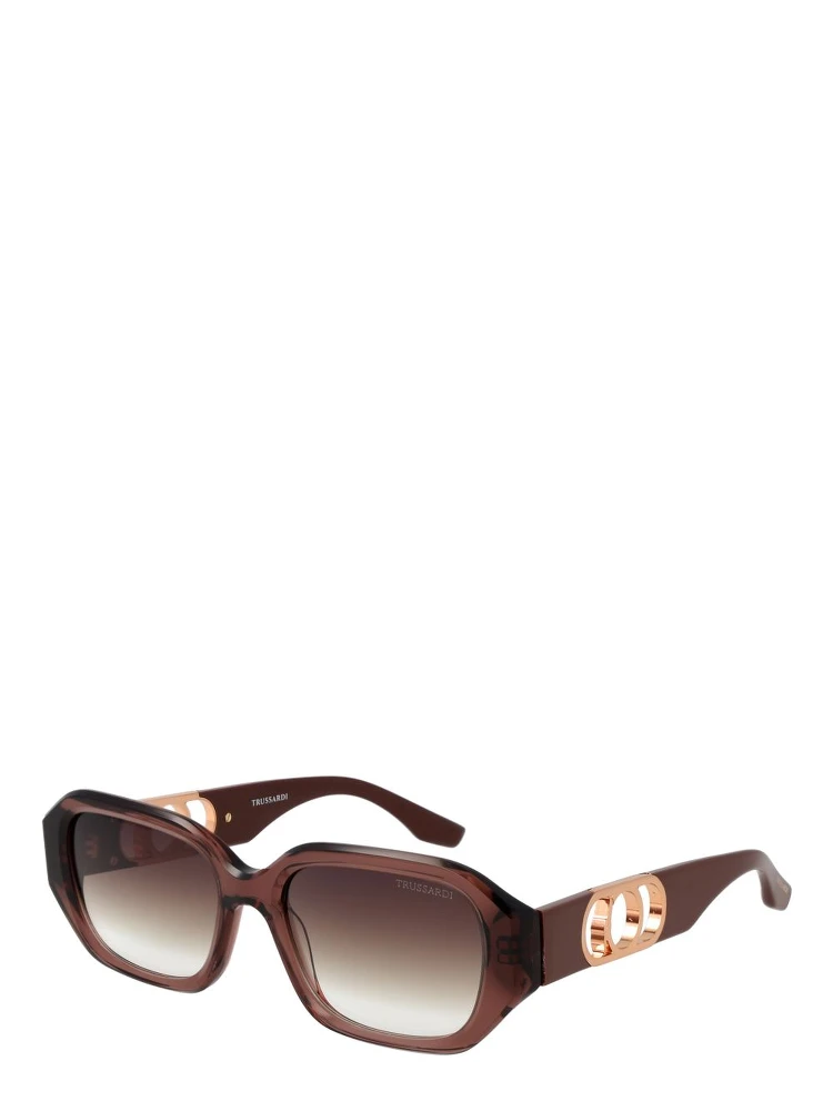 Brown Acetate Sunglasses