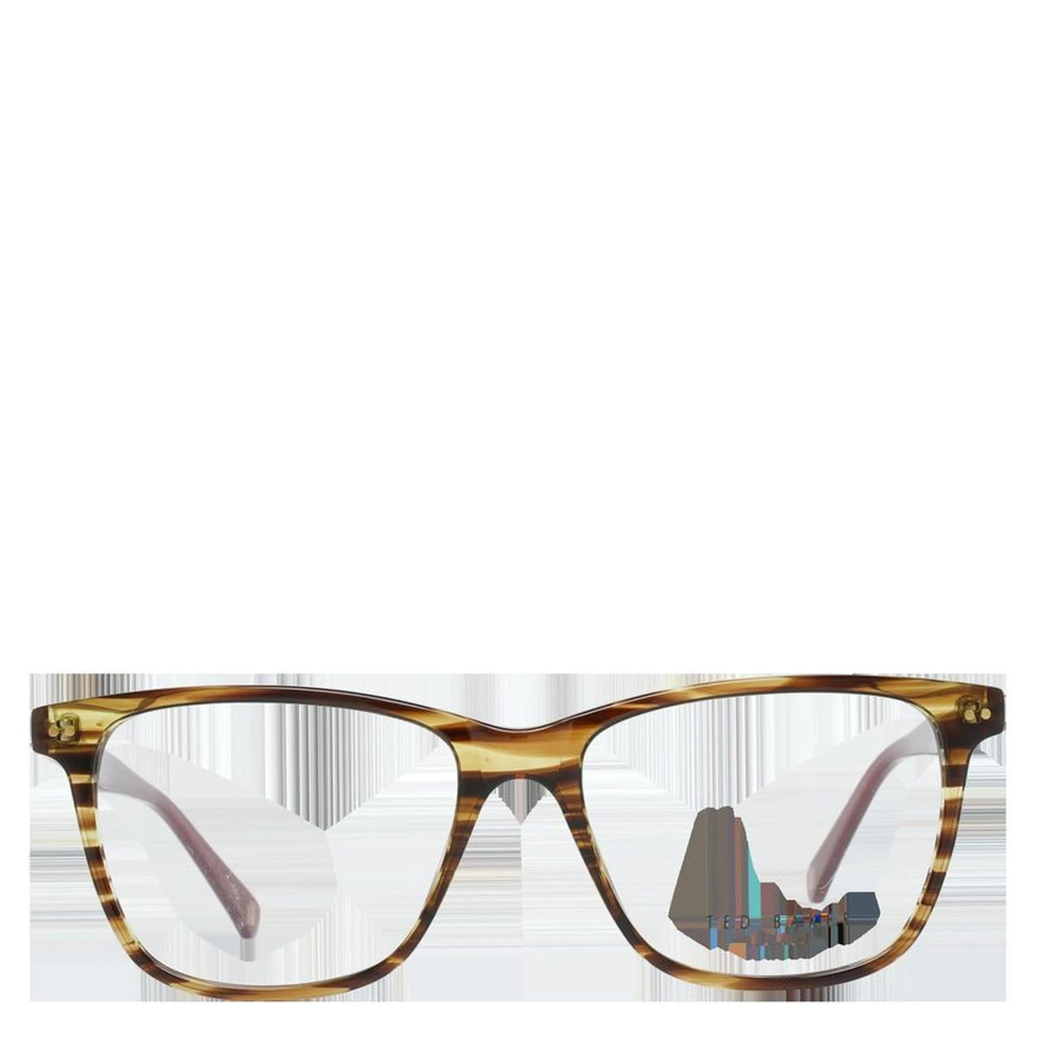 Brown Plastic Glasses (Frames)