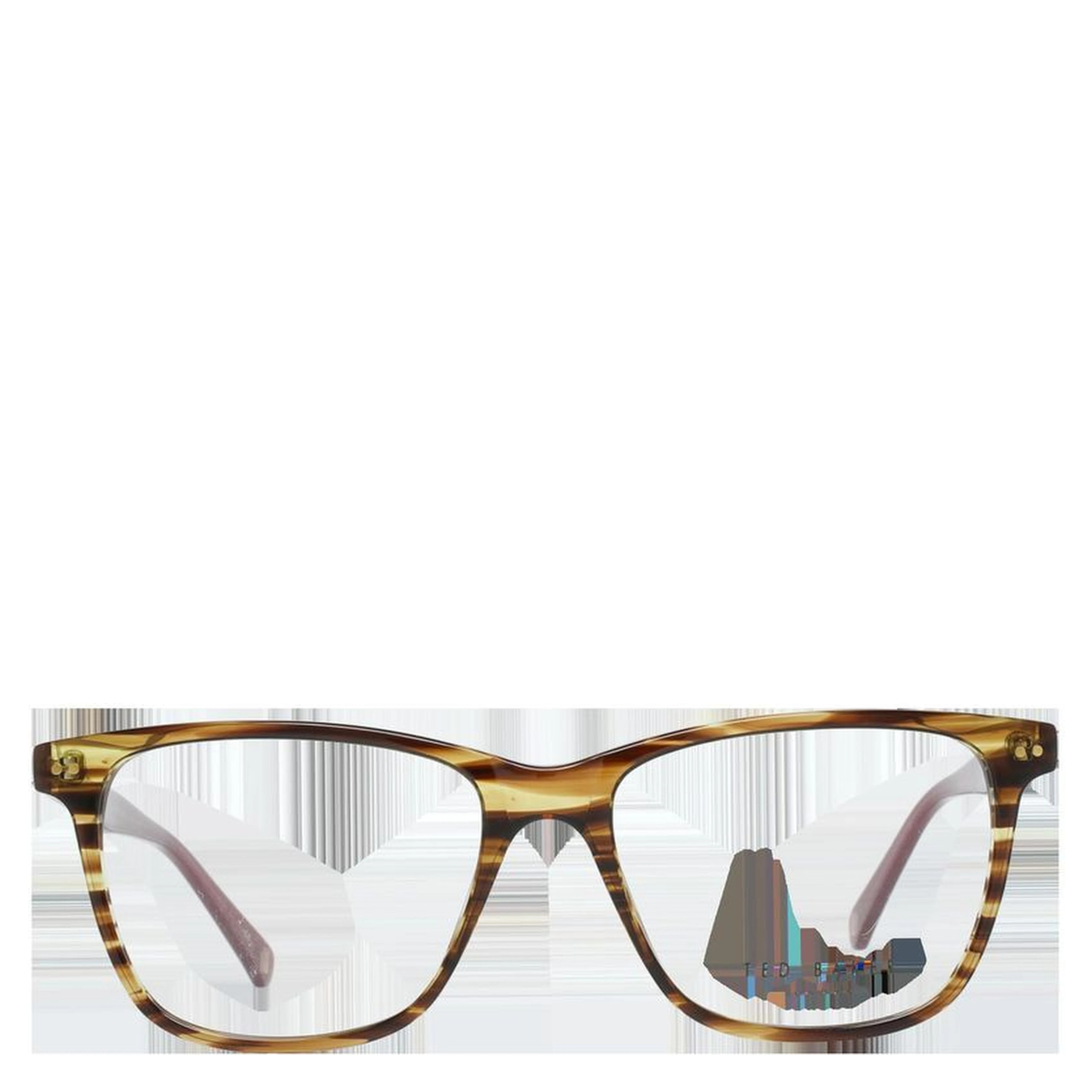 Brown Plastic Glasses (Frames)