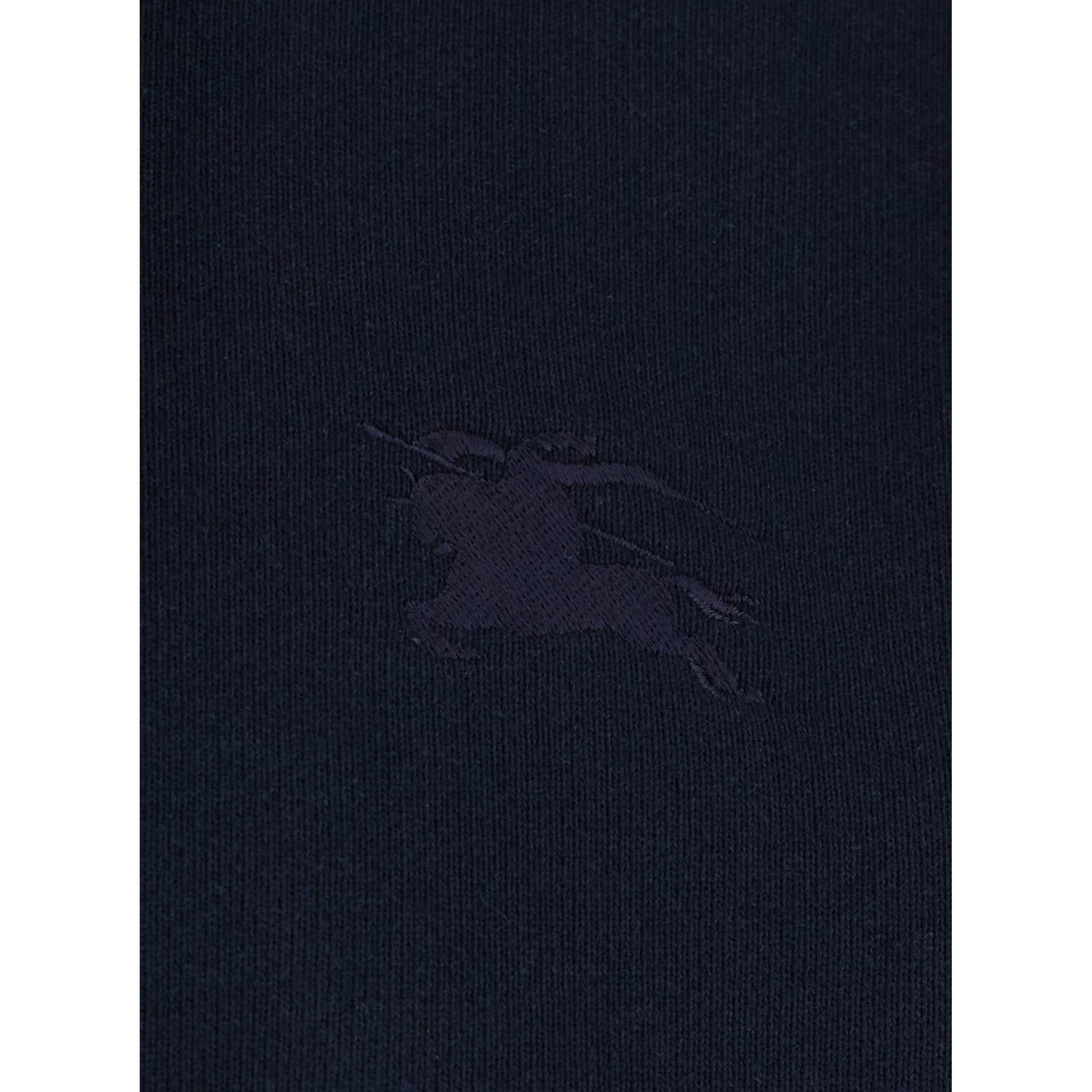 Blue Sweatshirt with Drawstring Hood and Check Motif on the Sleeve in Cotton Man