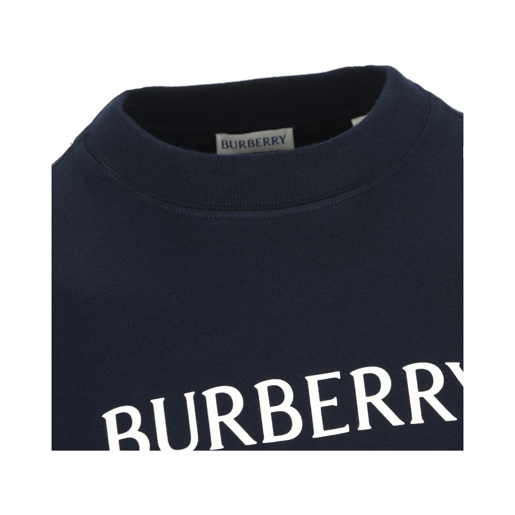 Burberry T-shirts and Polos Blue