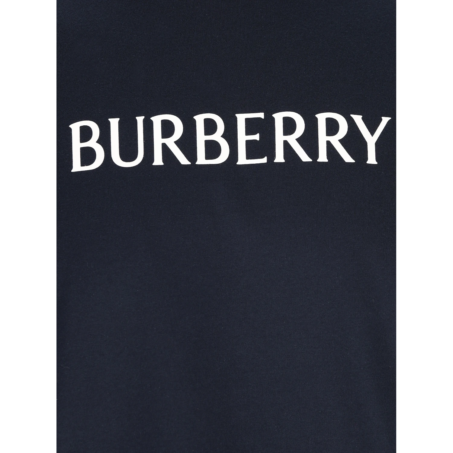 Burberry T-shirts and Polos Blue