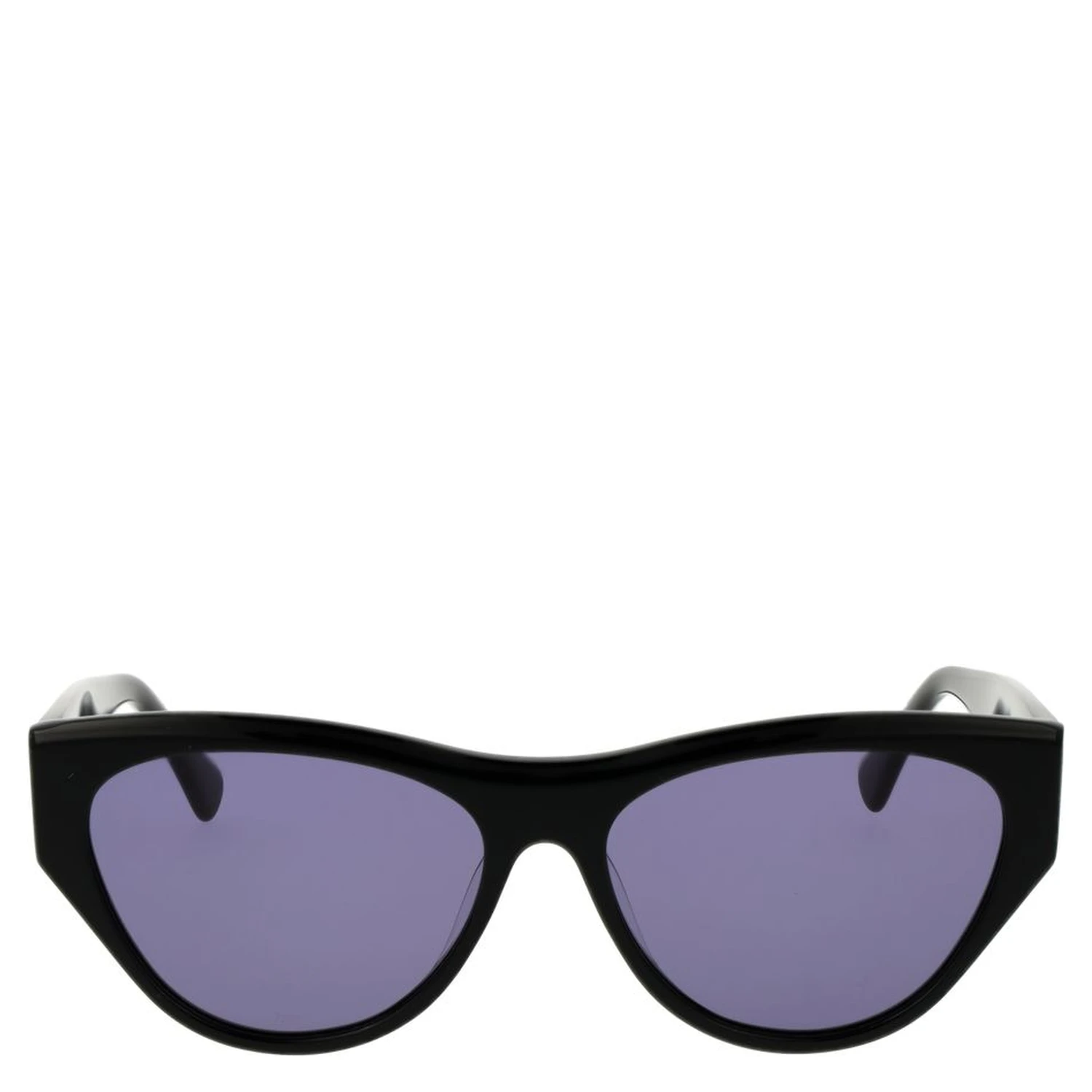 Black Plastic Sunglasses