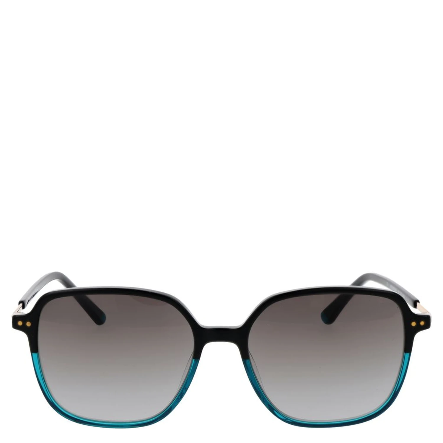 Black Plastic Sunglasses