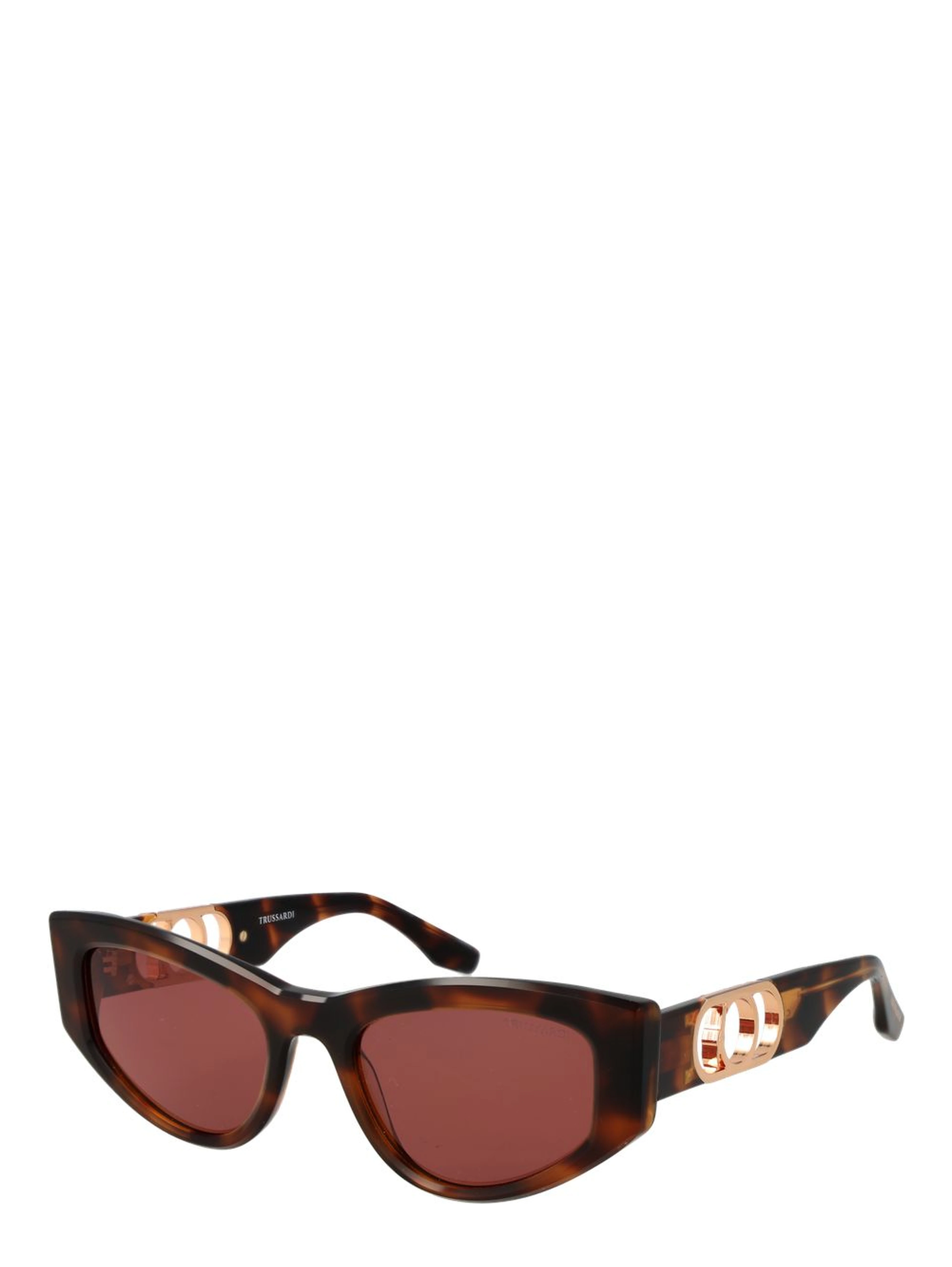 Brown Acetate Sunglasses