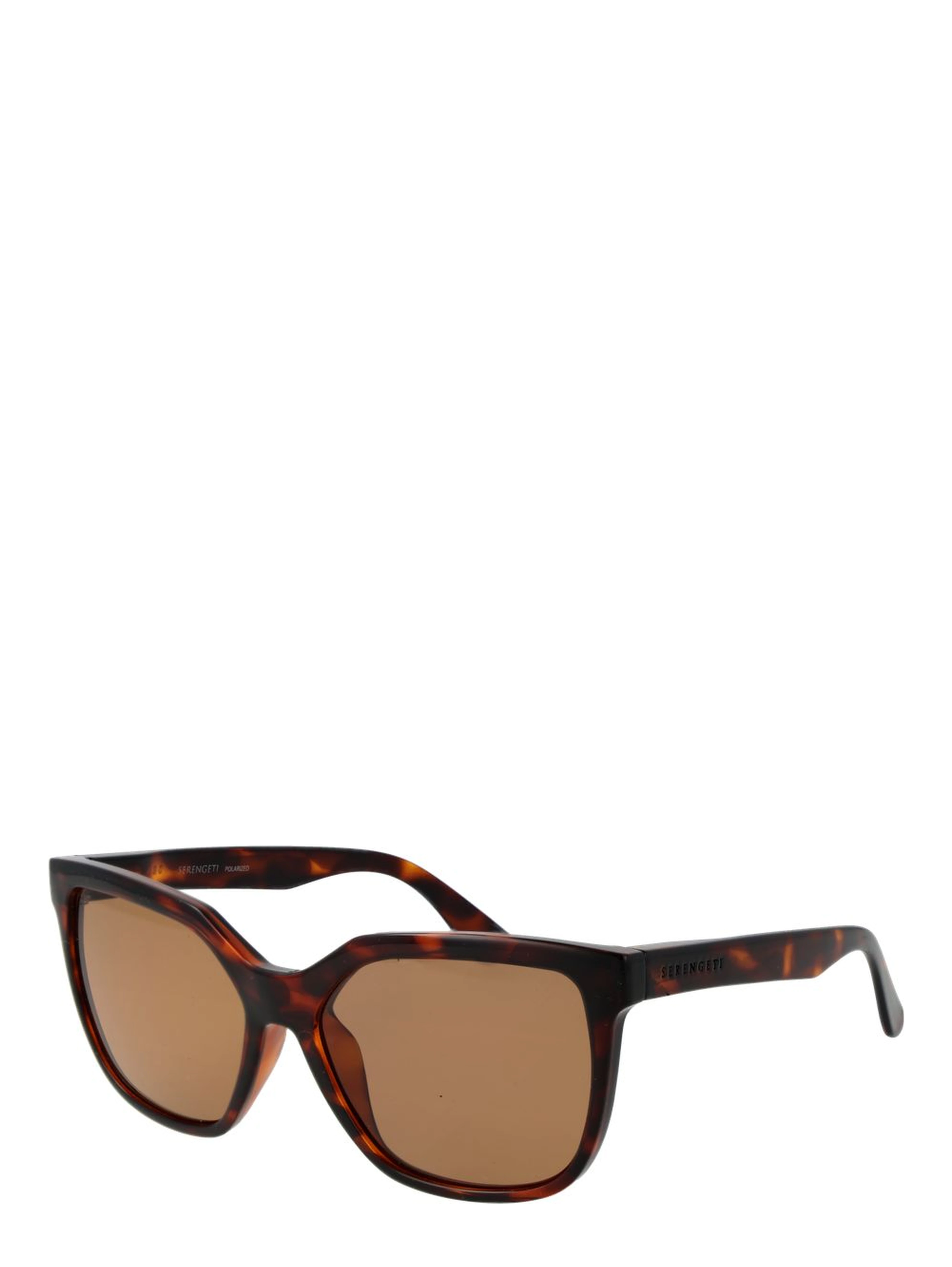Brown Eco Nylon Sunglasses