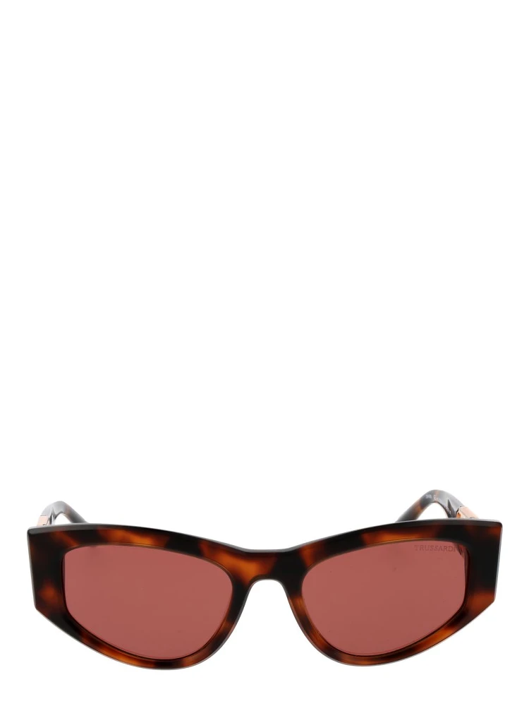 Brown Acetate Sunglasses alternative