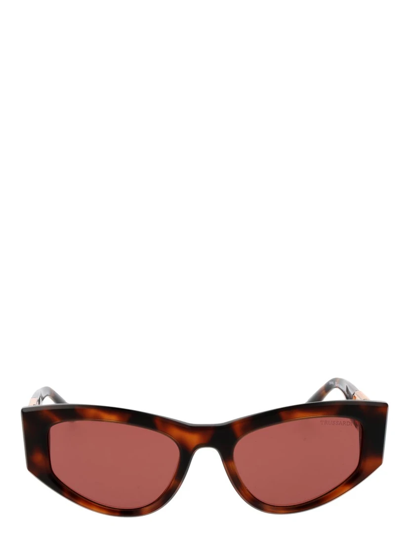 Brown Acetate Sunglasses