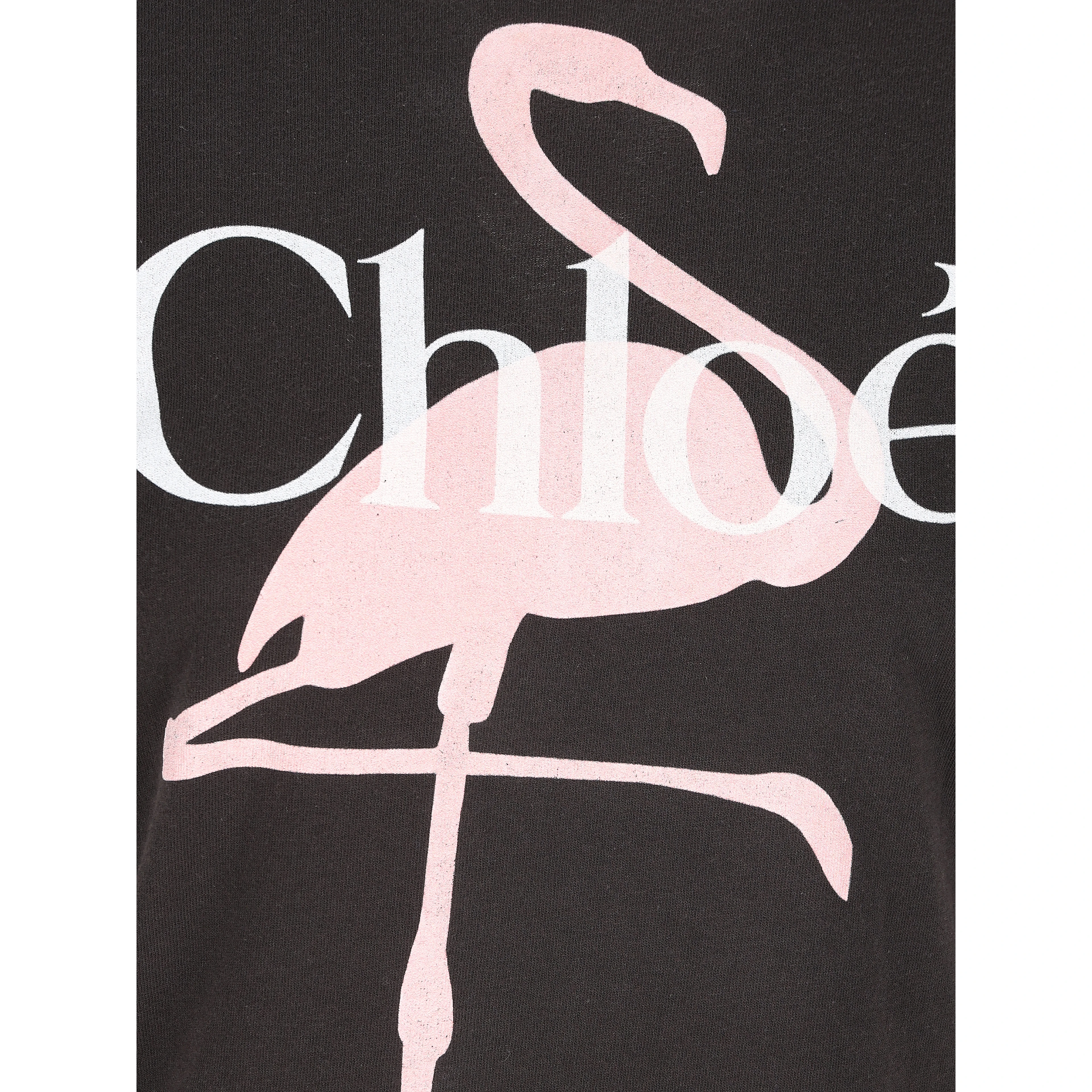 Chloè T-shirts and Polos