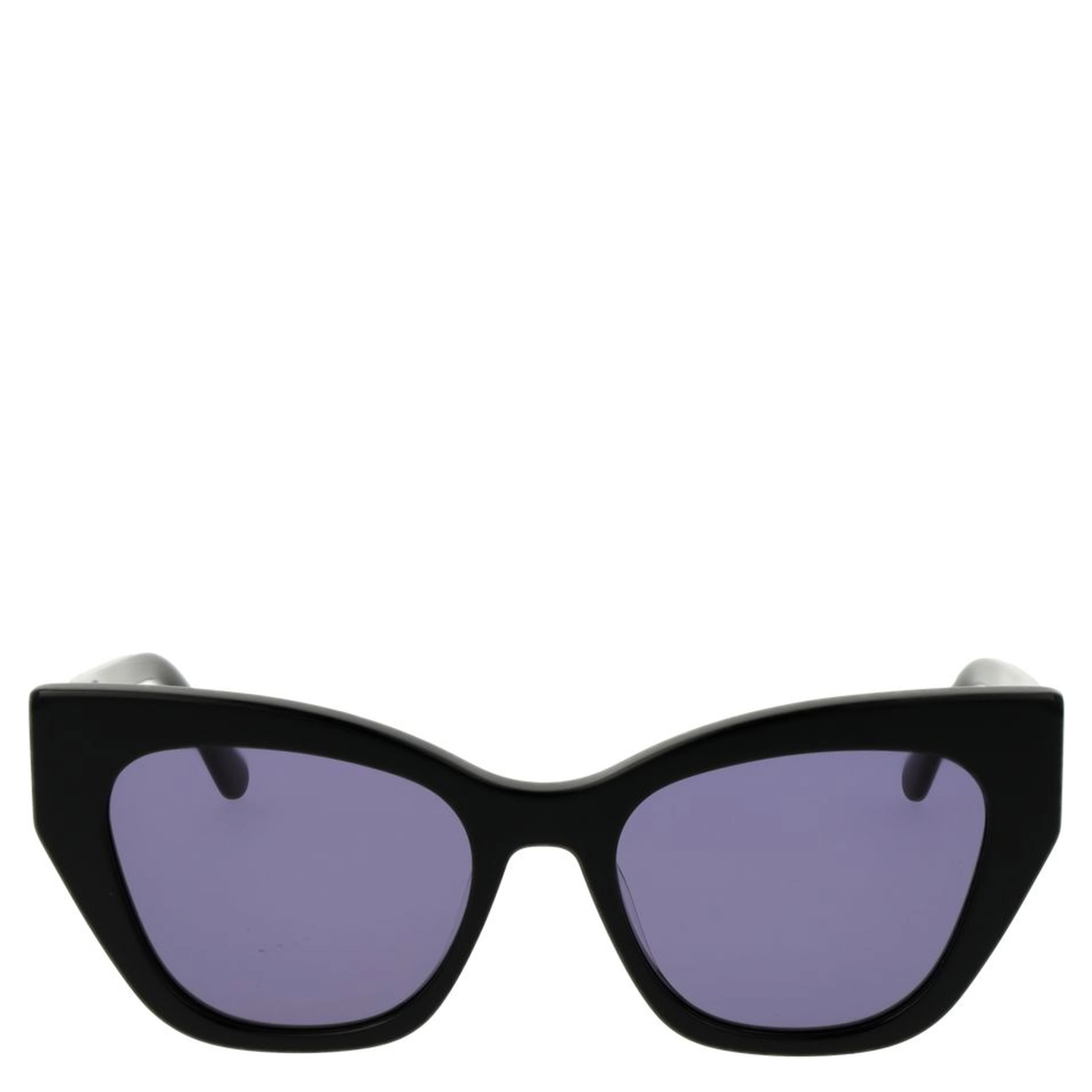 Black Plastic Sunglasses