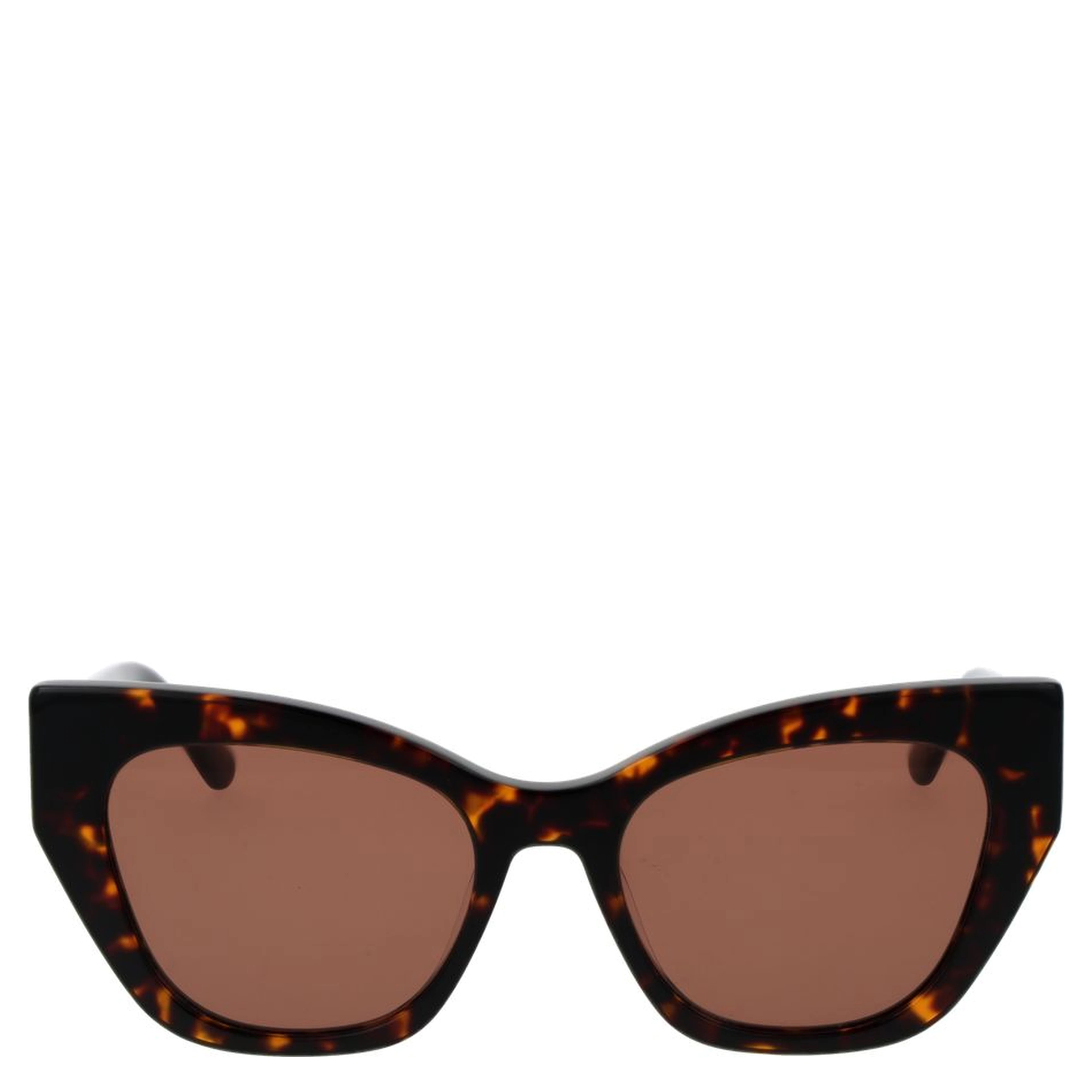 Brown Plastic Sunglasses