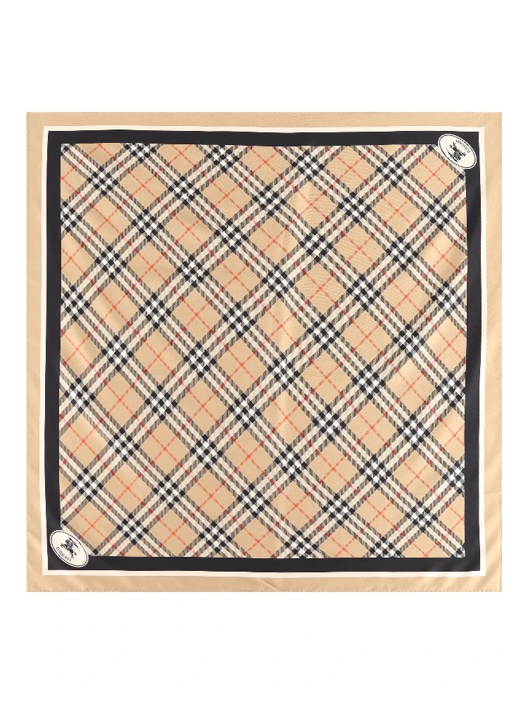 Burberry Scarfs