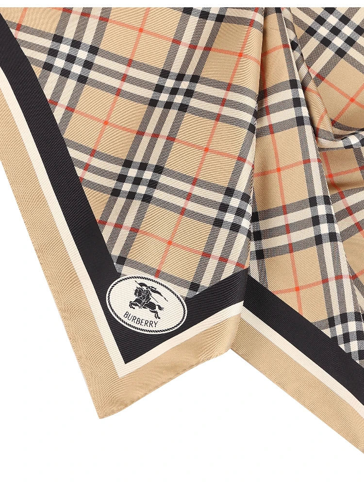 Burberry Scarfs alternative