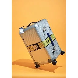 BUTTERFLY ELASTIC BELT M