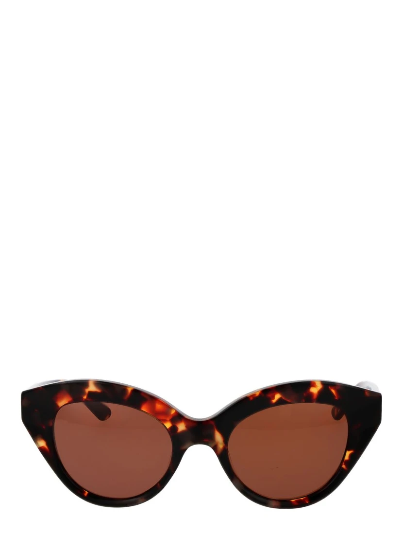 Brown Plastic Sunglasses