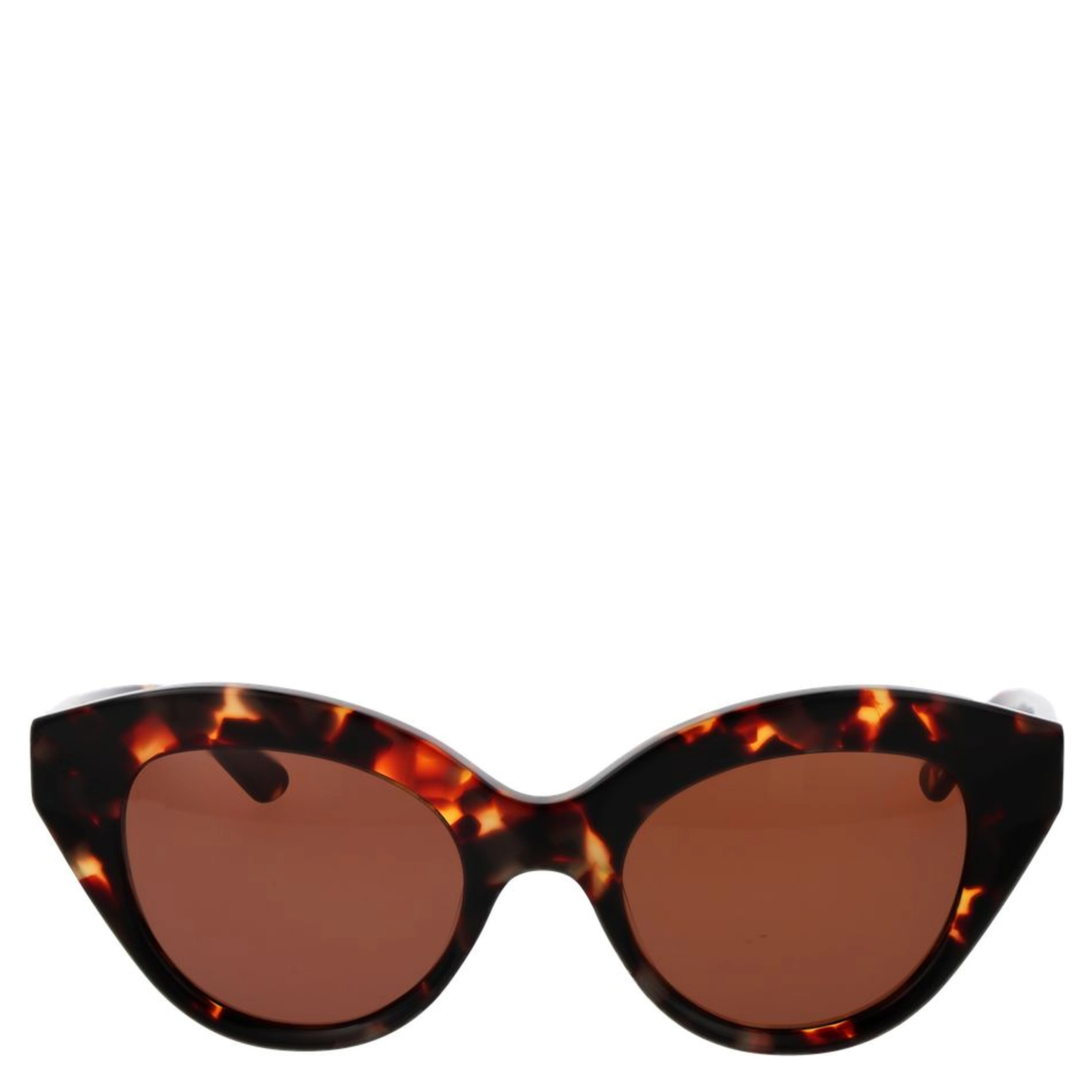 Brown Plastic Sunglasses