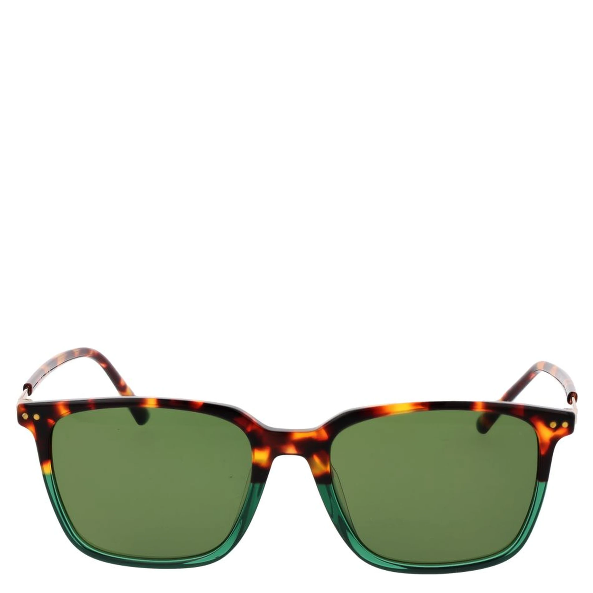 Brown Plastic Sunglasses