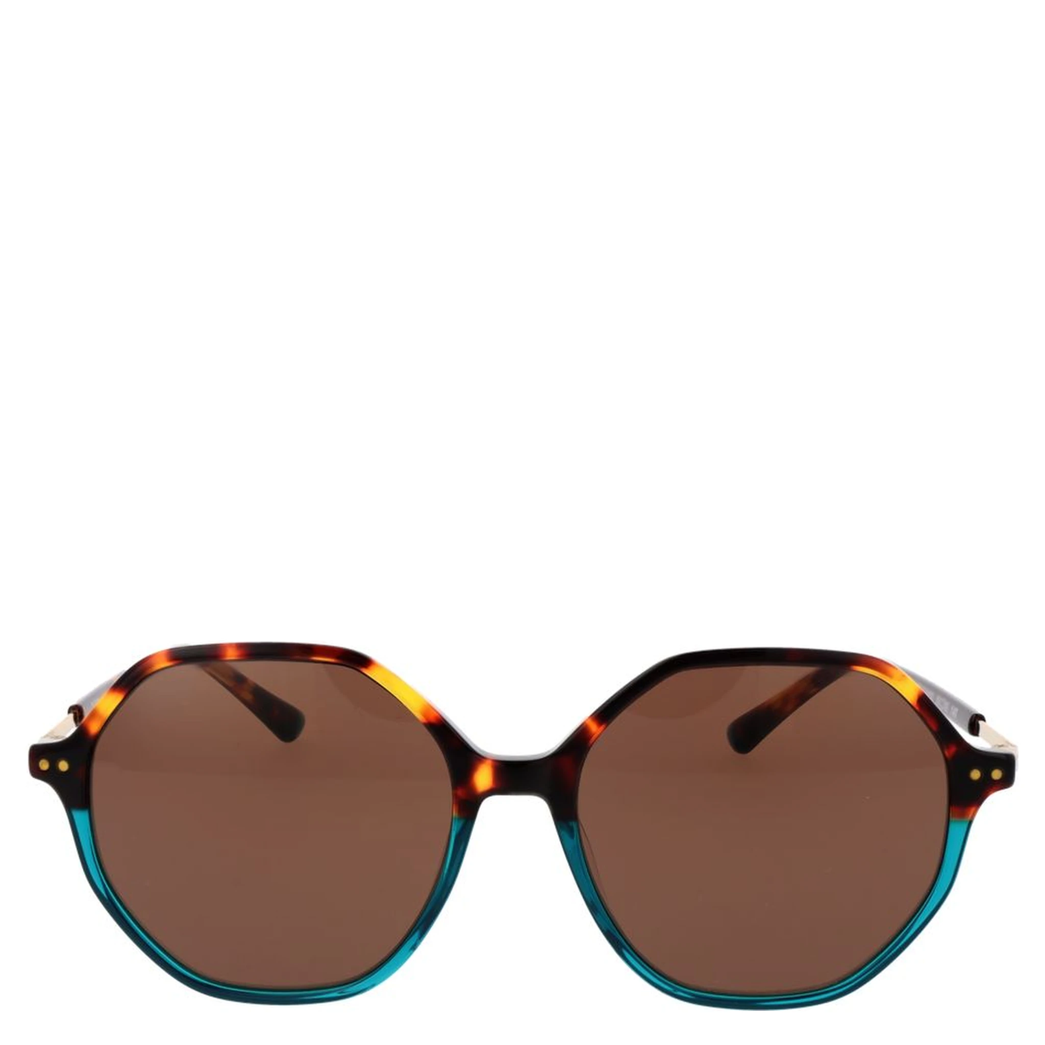 Brown Plastic Sunglasses