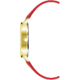 Multicolor Plastic Dress Watch