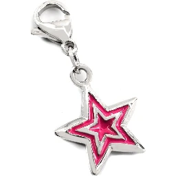 Bicolor Stainless Steel Broch