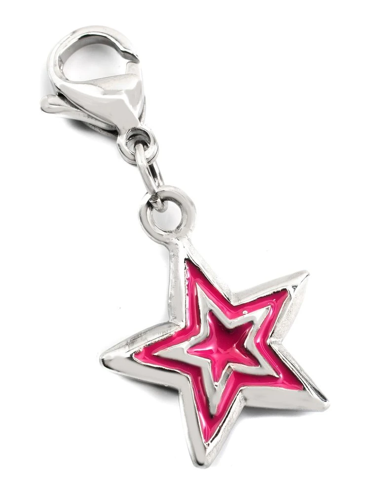 Bicolor Stainless Steel Broch