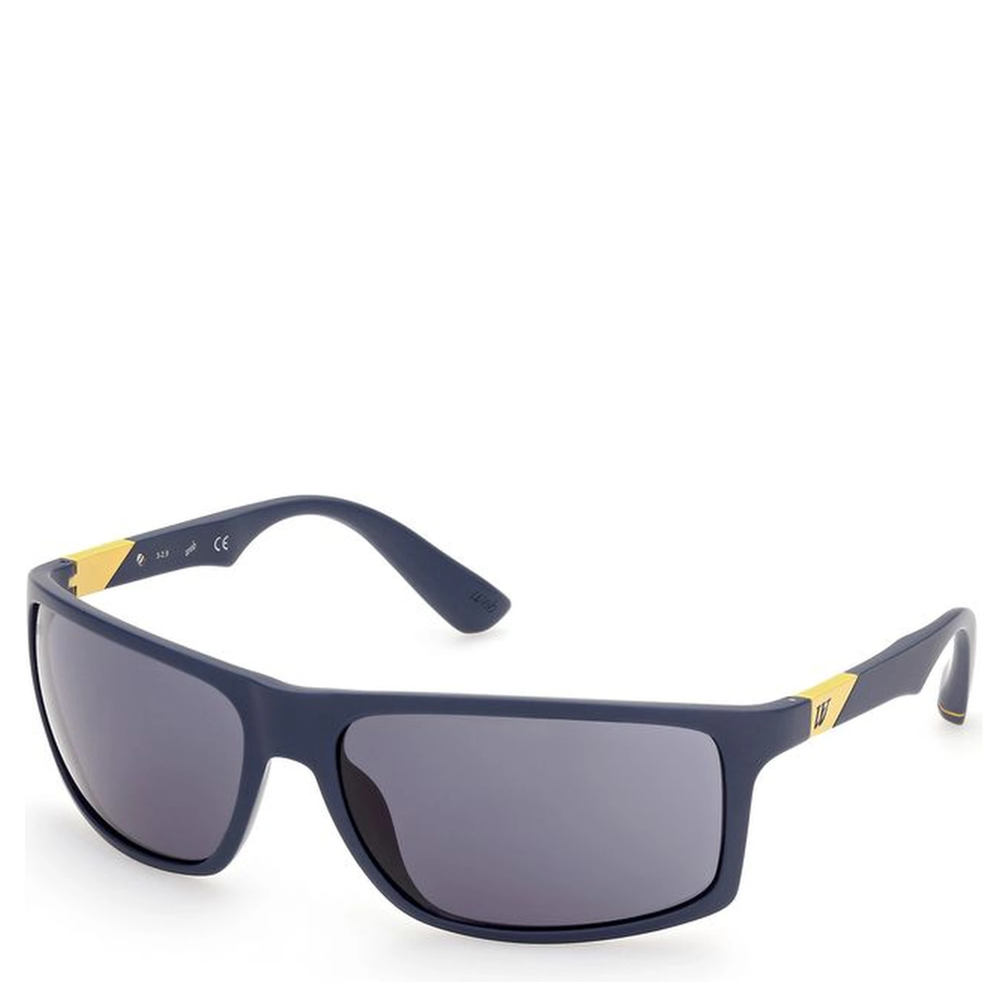 Blue Acetate Sunglasses