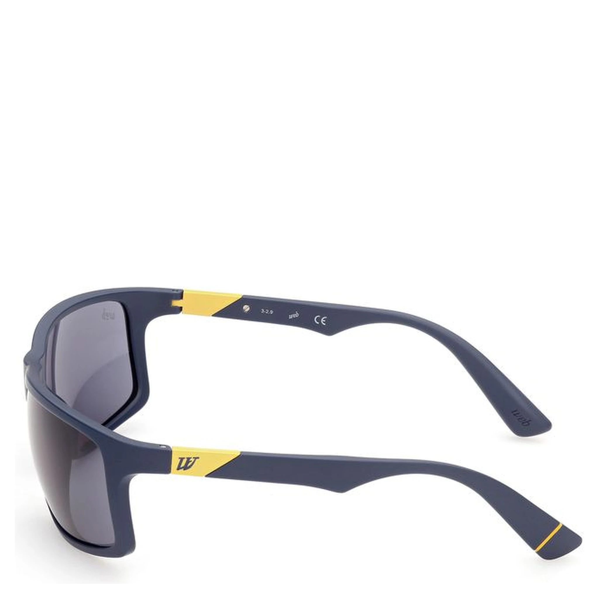 Blue Acetate Sunglasses