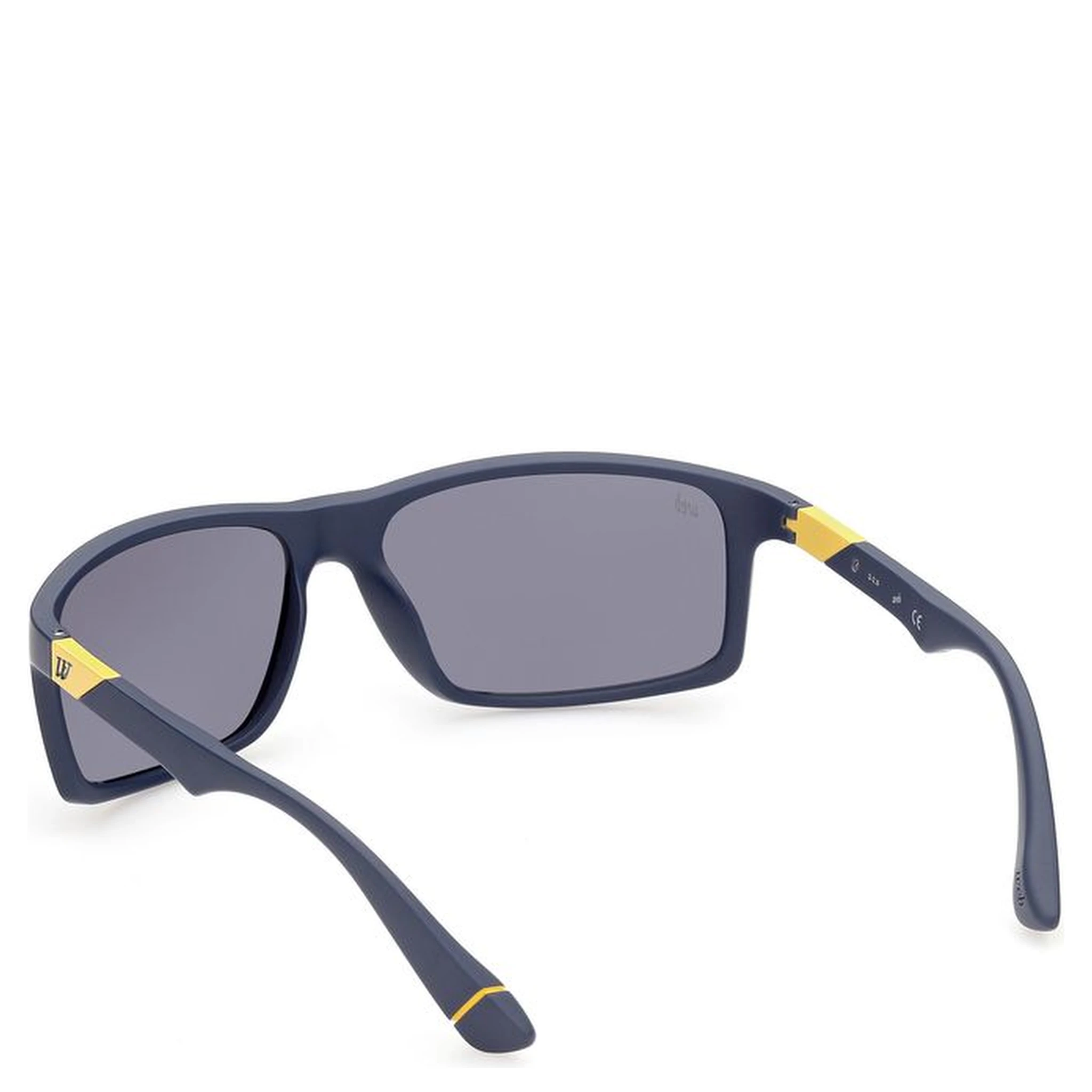 Blue Acetate Sunglasses