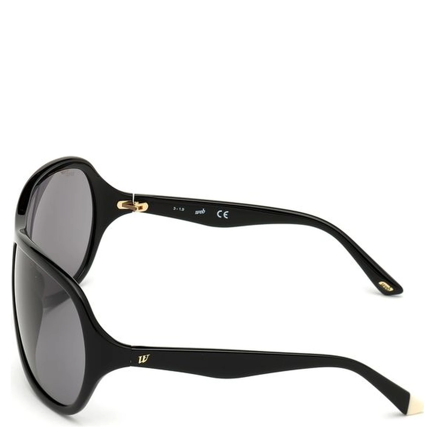 Black Plastic Sunglasses