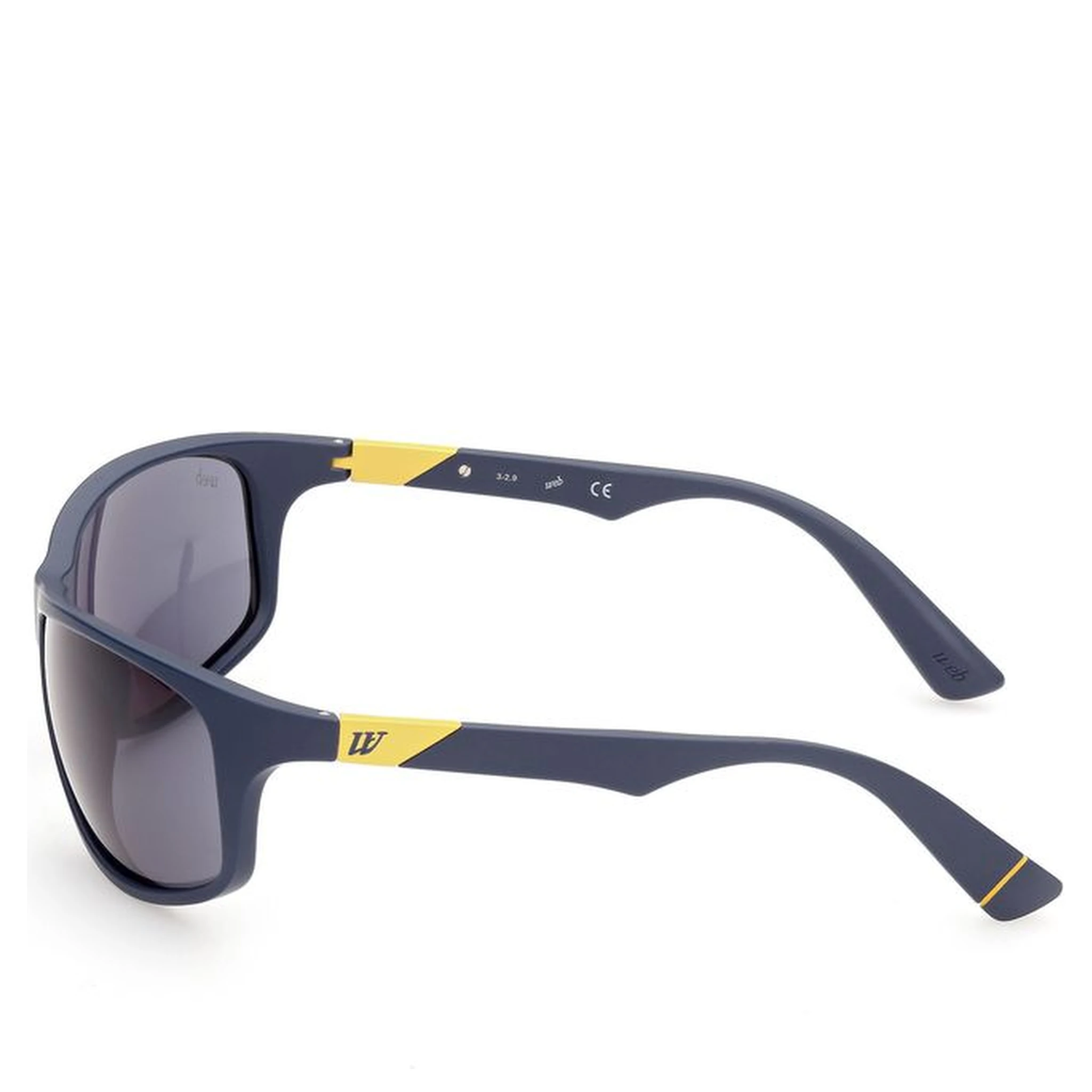 Blue Acetate Sunglasses