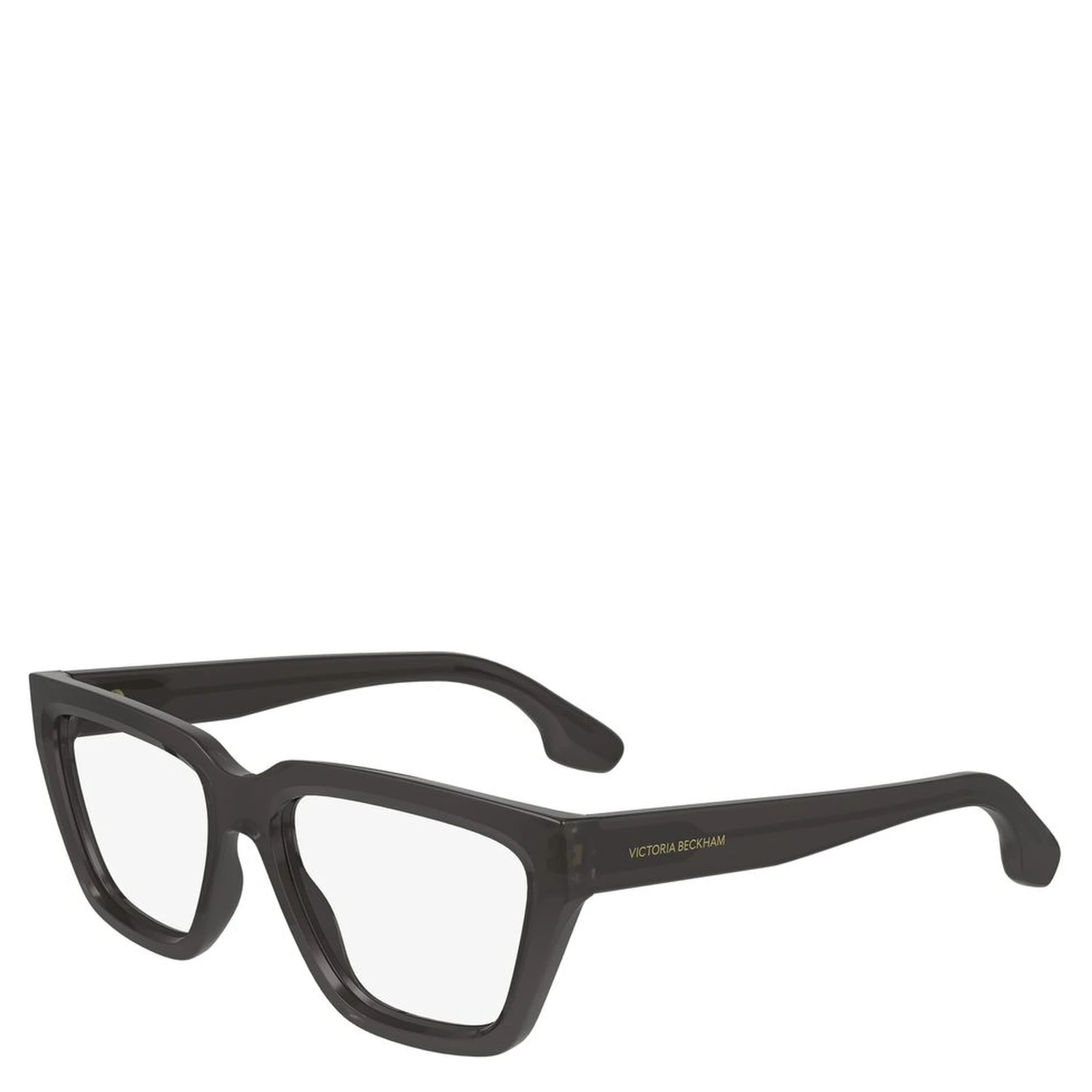 Gray Injected Glasses (Frames)