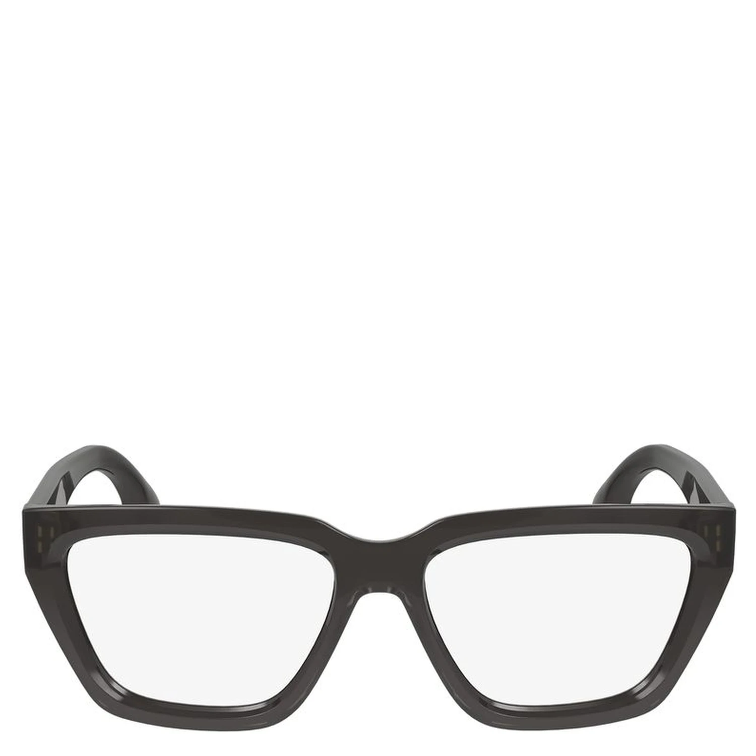 Gray Injected Glasses (Frames)