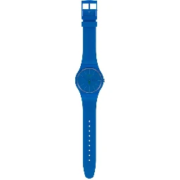 Blue Plastic Dress Watch