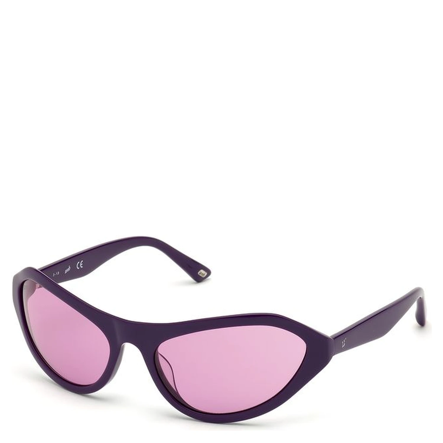 Purple Plastic Sunglasses