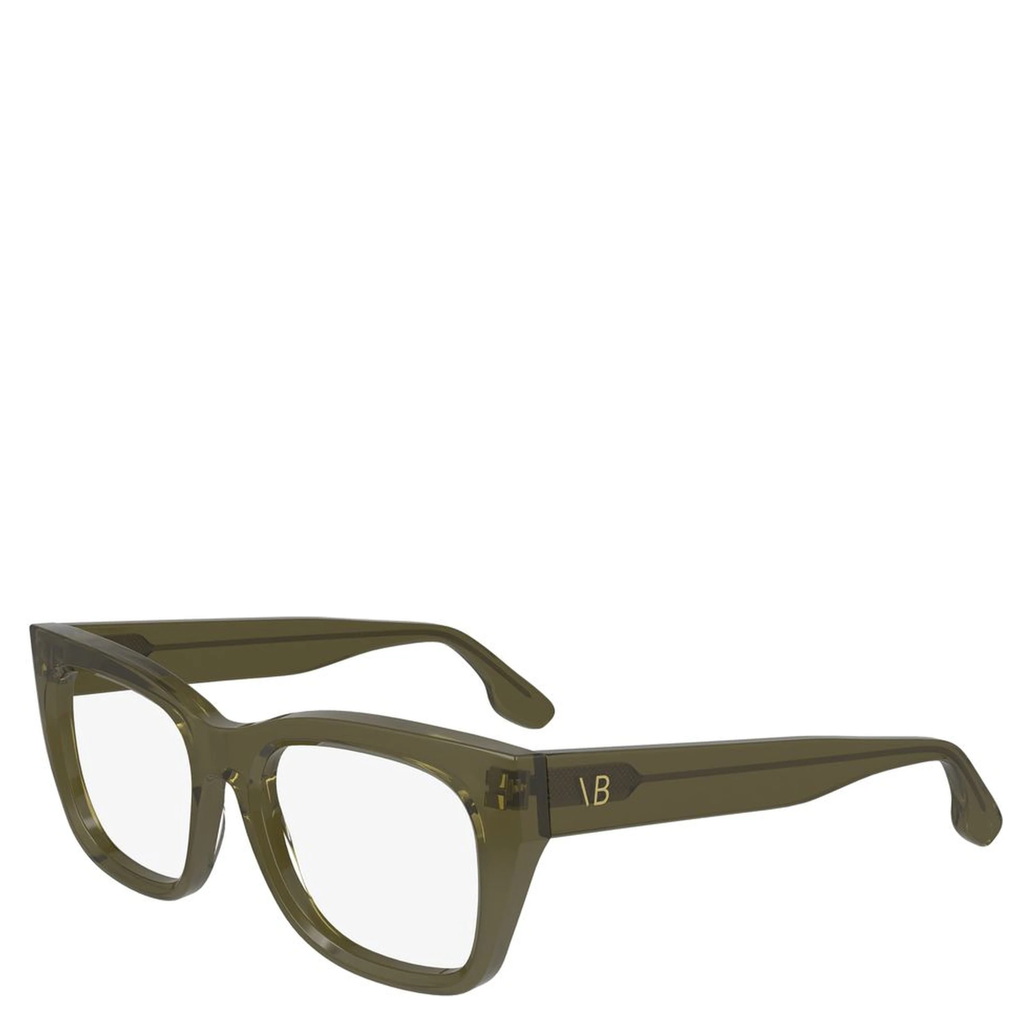 Bicolor Acetate Glasses (Frames)