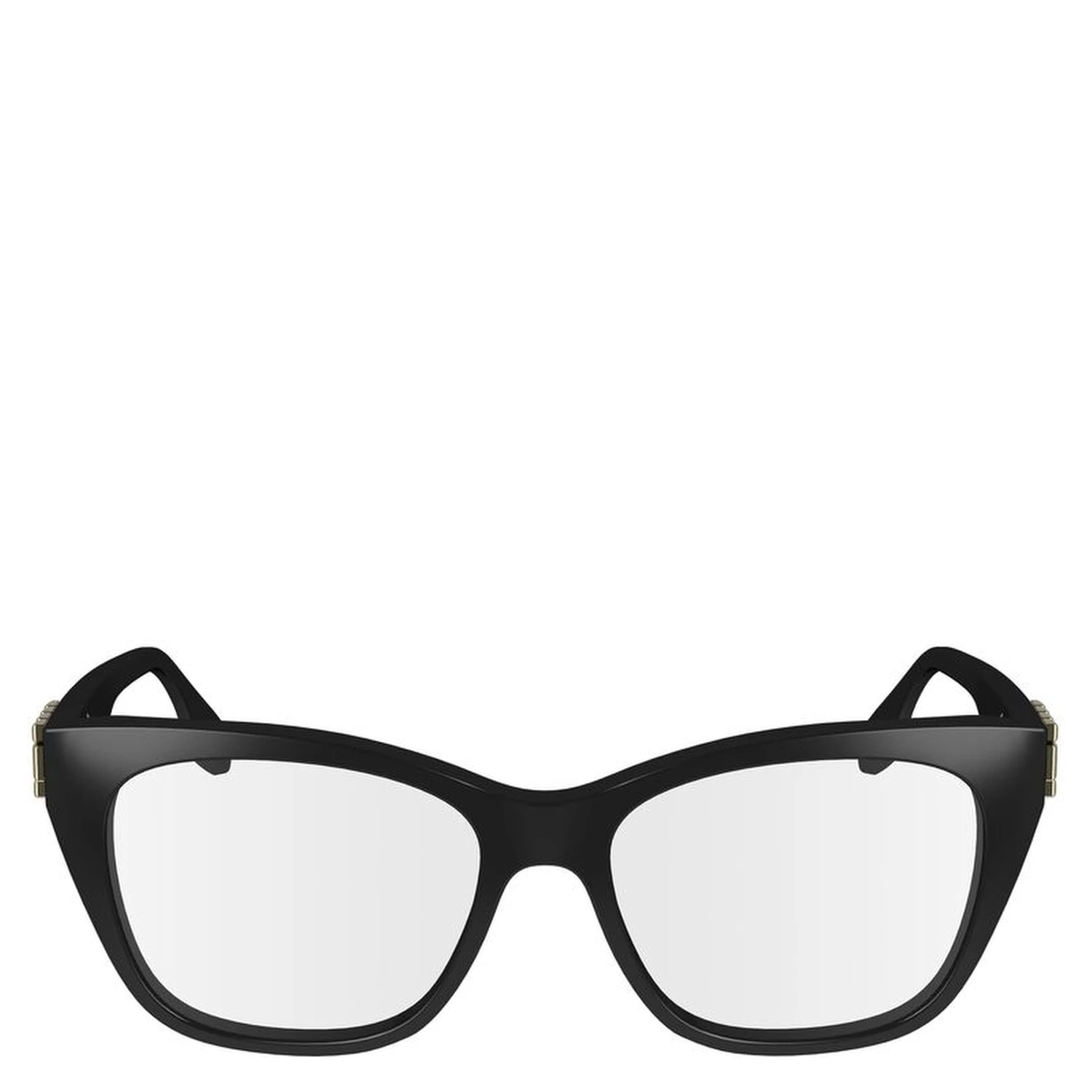 Black Acetate Glasses (Frames)