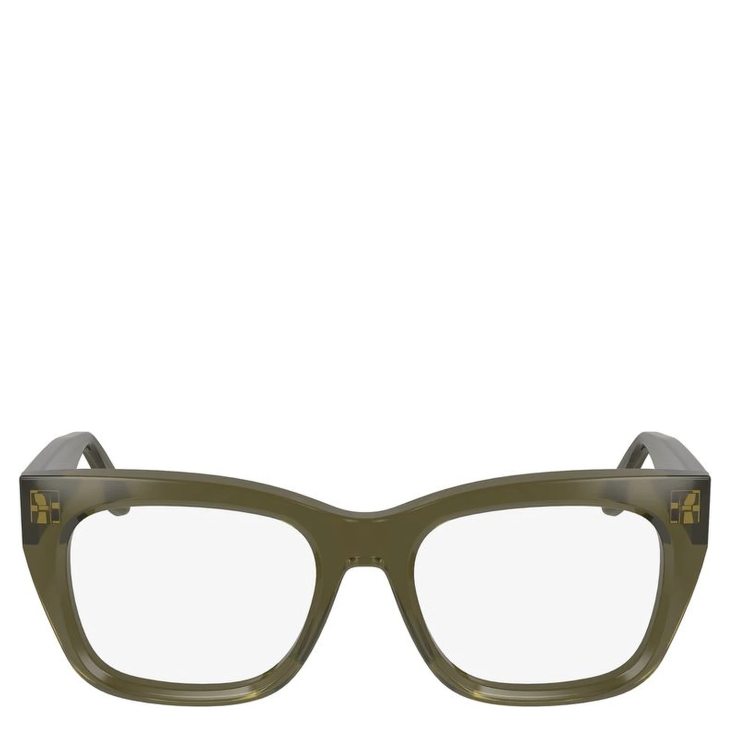Bicolor Acetate Glasses (Frames)