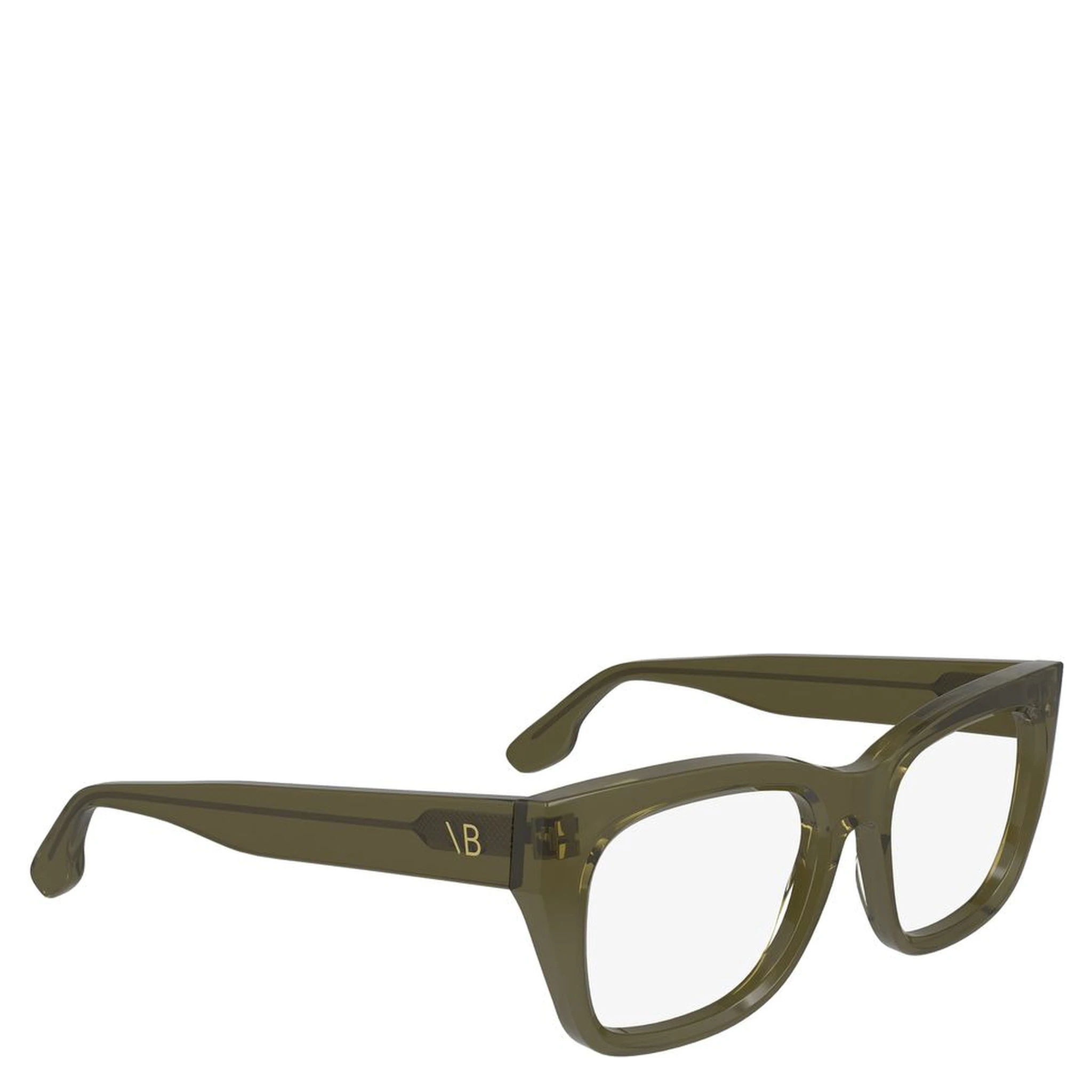 Bicolor Acetate Glasses (Frames)