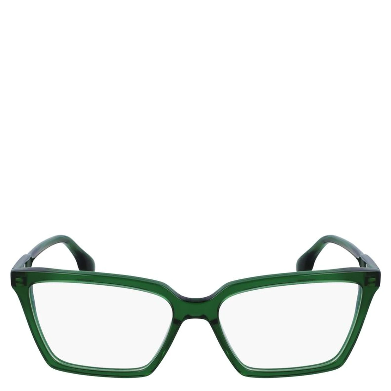Bicolor Acetate Glasses (Frames)